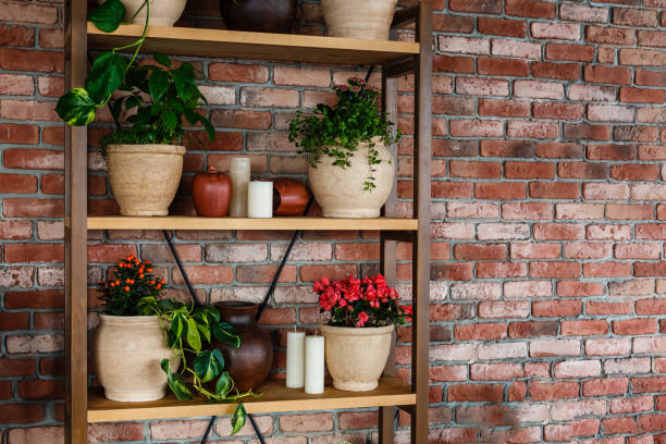 istock House decoration by bookcase with flower pots 1128508356