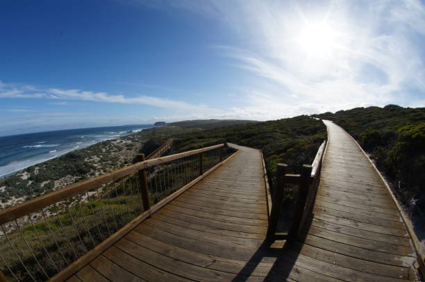 istock Boardwalk at Sea Lion Bay Conversation Park 1128512656