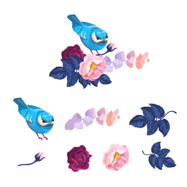 illustrazioni stock, clip art, cartoni animati e icone di tendenza di spring blue bird su flower branch watercolor kit - bouquet rose peony rosé