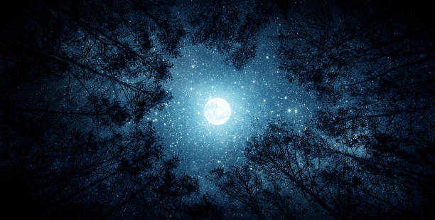 美しい夜空、天の川、月、木です。 - 夜空 月 幻想 ストックフォトと画像