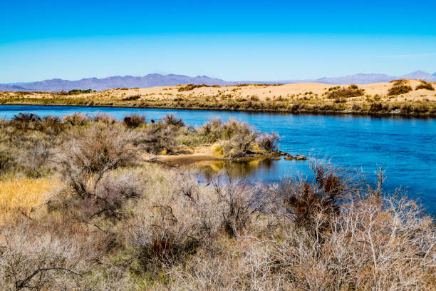 istock The Colorado River flowing through the Mojave Desert 1128516356