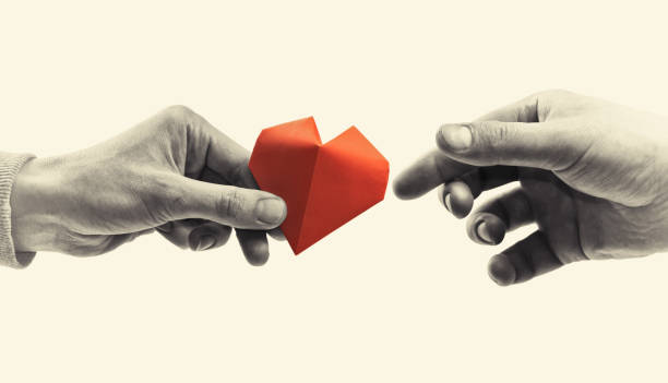 Concept of love, giving gifts, donorship. Red heart in woman and man hands. Black and white image. Concept of love, giving gifts, donorship. good doctor photos stock pictures, royalty-free photos & images