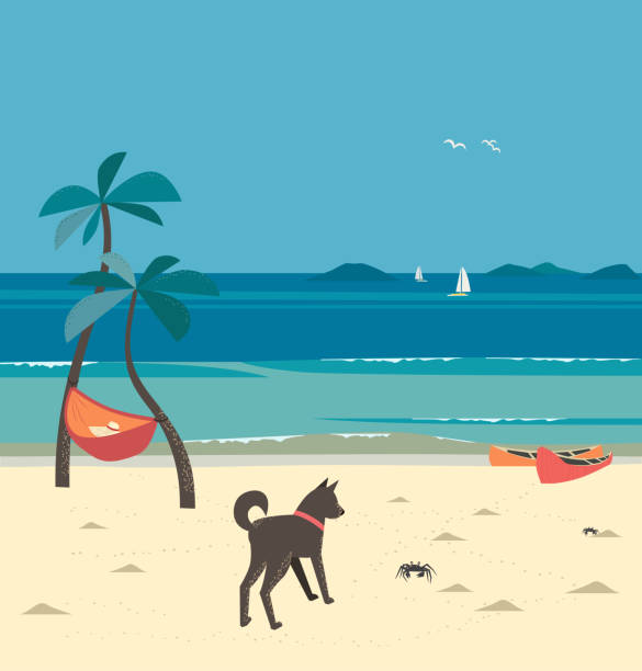 ilustrações, clipart, desenhos animados e ícones de vista panorâmica do litoral do desenho animado ilha tropical - ocean scenic illustrations