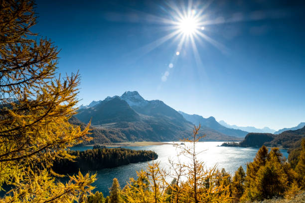 otoño dorado en el valle suizo de engadin, graubuenden, suiza, europa - silvaplanersee fotografías e imágenes de stock