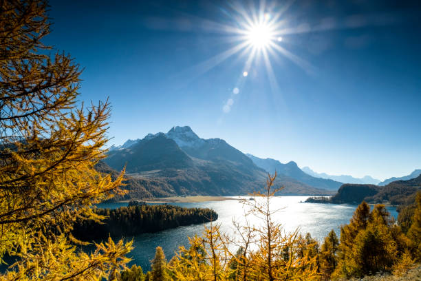 золотая осень в швейцарской долине энгадин, граубуенден, швейцария, европа - silvaplana стоковые фото и изображения