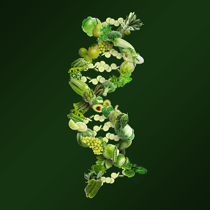 DNA strand made of green vegetables and fruits