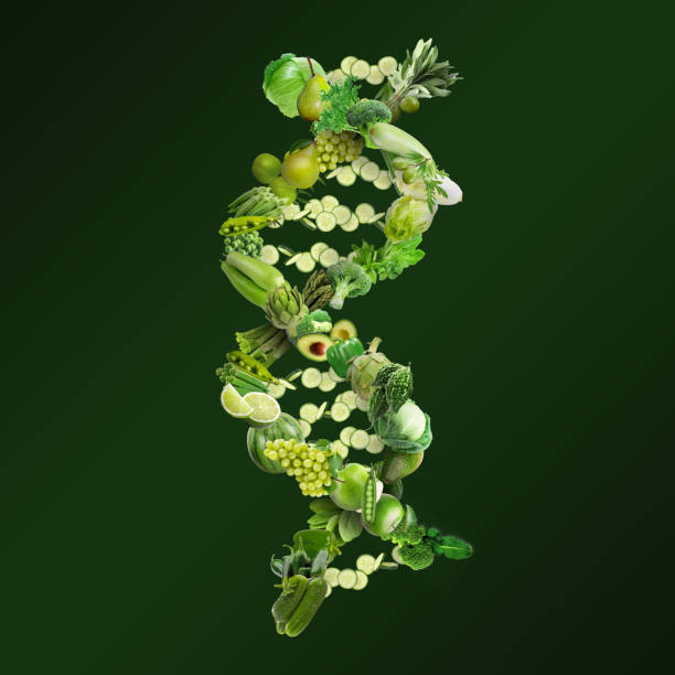 nutrigenetics konceptet dna-strängen med friska färska grönsaker och frukter - flower dna bildbanksfoton och bilder