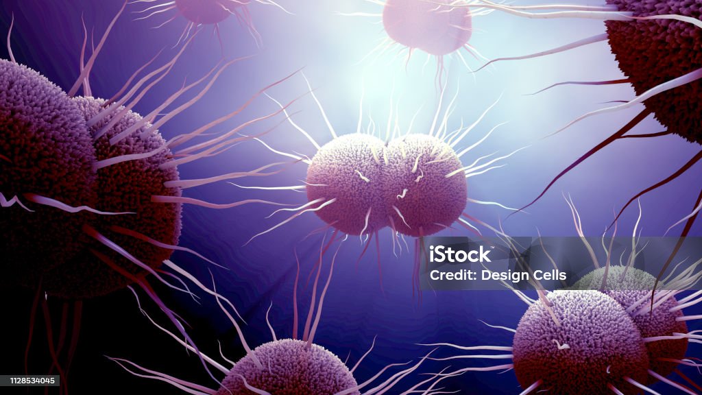 bacterium Neisseria gonorrhoeae, Gonorrhea Gonorrhea Bacterium Stock Photo