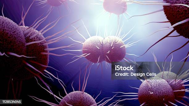 Bacterium Neisseria Gonorrhoeae Gonorrhea Stock Photo - Download Image Now - Gonorrhea Bacterium, Sexually Transmitted Disease, Meningitis