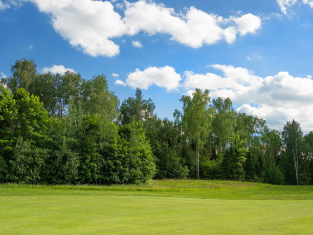 istock Countryside golf course. Green cutted grass on field, forest and blue sky. Cloudscape in sunny day. Russia. 1128534388