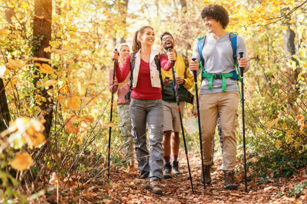 istock Smiling hikers walking through forest at autumn and exploring. Autumn time. 1128534389