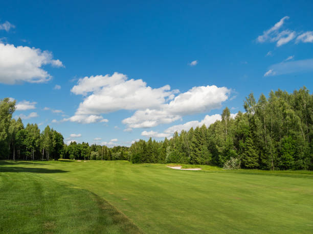istock Countryside golf course. Green cutted grass on field, forest and blue sky. Cloudscape in sunny day. Russia. 1128535432