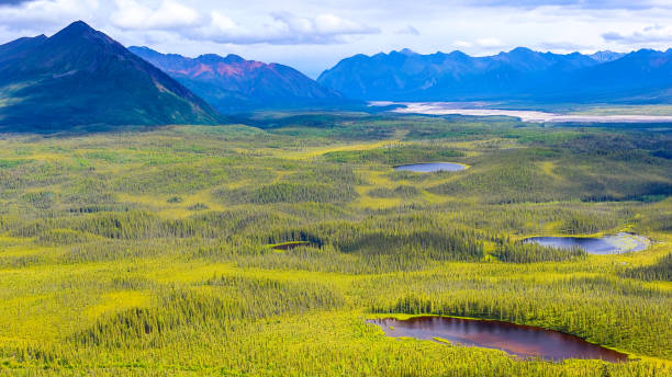 Wrangell - St Elias Mountains, on top of Nabesna Mine