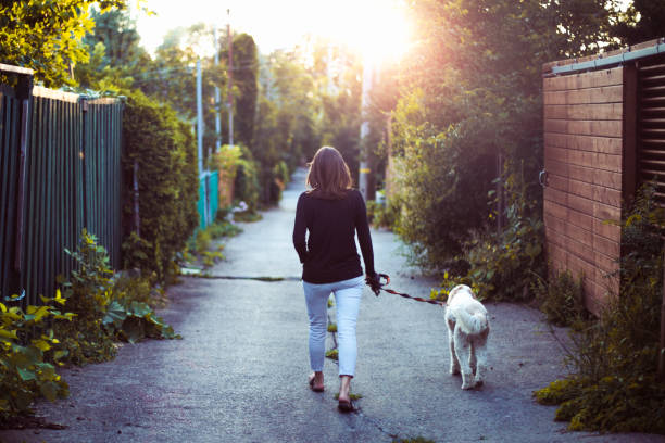 uma mulher andando com seu cachorro em um beco - dog leash pets playing - fotografias e filmes do acervo