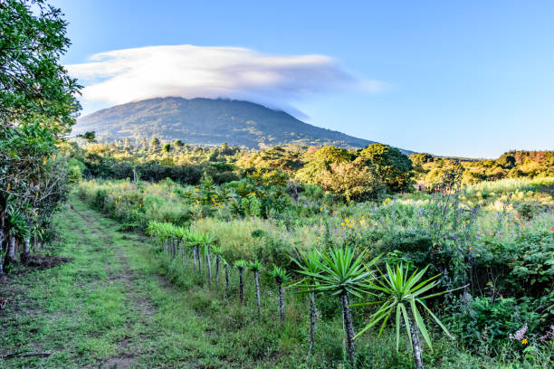 Grassy farm trail leads up overgrown volcano slope, Guatemala, Central America stock photo
