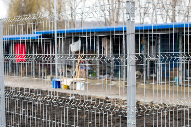 istock dog shelter enclosures 1128539834
