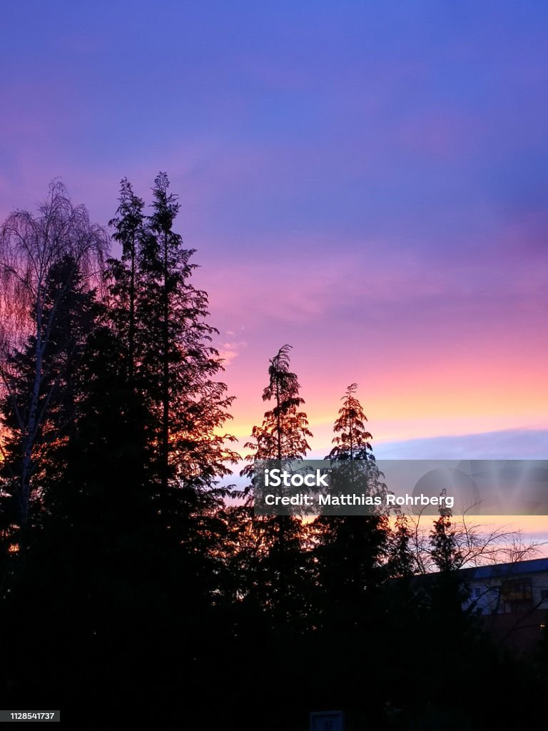 Silhouette of trees in front of colored clouds in the evening Beauty In Nature Stock Photo