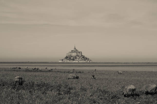 istock Le Mont Saint Michel in Normandy, France 1128543868