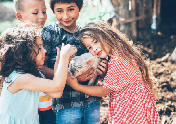 Group of Loving children with baby piglet in the farm