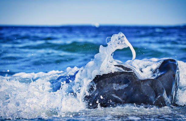 Plastic waste washes up on the beach