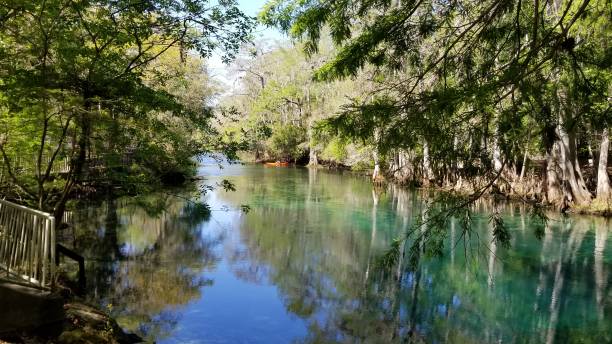 istock Hot Springs at Manatee Springs State Park, Florida 1128549126