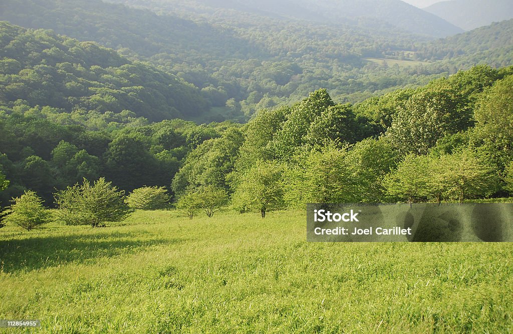 Estate in Appalachia - Foto stock royalty-free di Paesaggio collinare