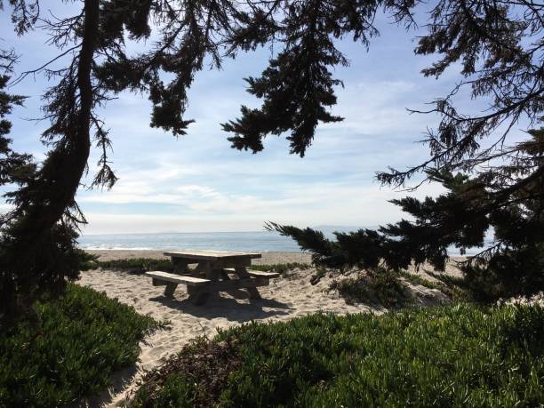 istock View of the sea through the trees 1128550939