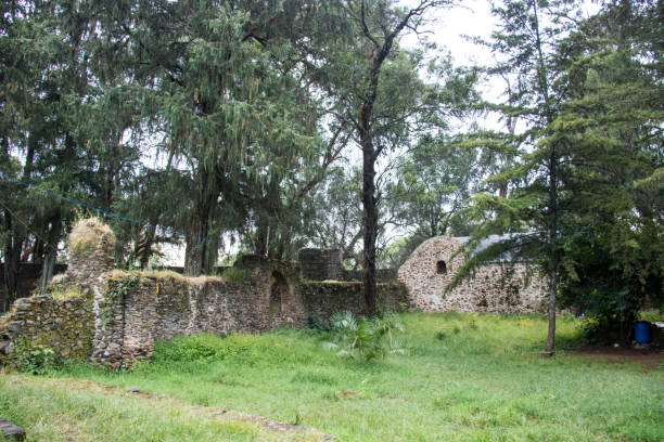 istock Ethiopia: Debre Berhan Selassie in Gondar 1128558216
