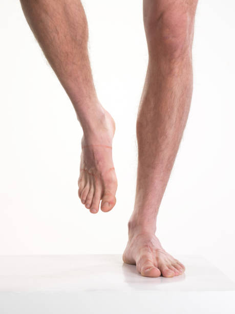 male hairy legs isolated on white - hairy men sensuality human muscle imagens e fotografias de stock