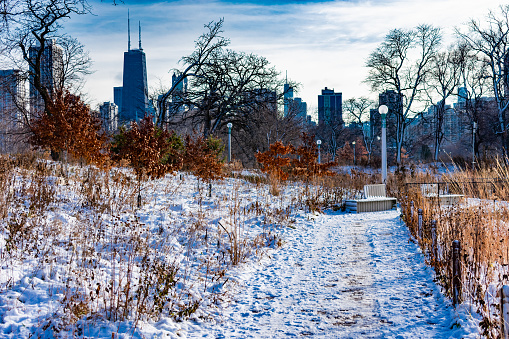 A snow covered trail surrounded by trees and plants in Lincoln Park Chicago with the skyline