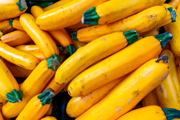 istock Yellow Zucchini at the Market 1128567260