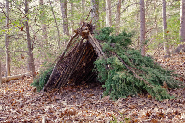 istock Primitive Bushcraft survival debris hut with campfire ring outside. Blanket, shelter, fire in the forest. 1128570943