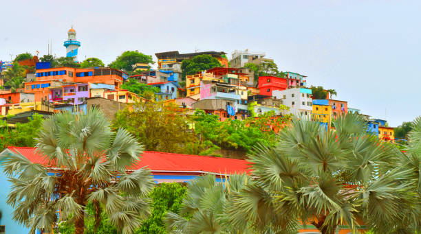 istock Set of very colorful hamlets. 1128573456