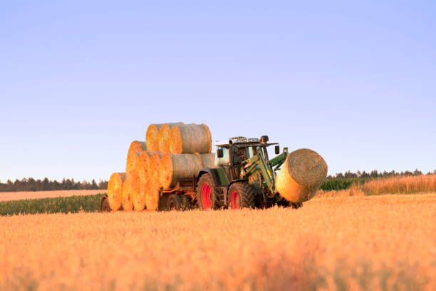 istock Tractor harvesting in the field 1128574291