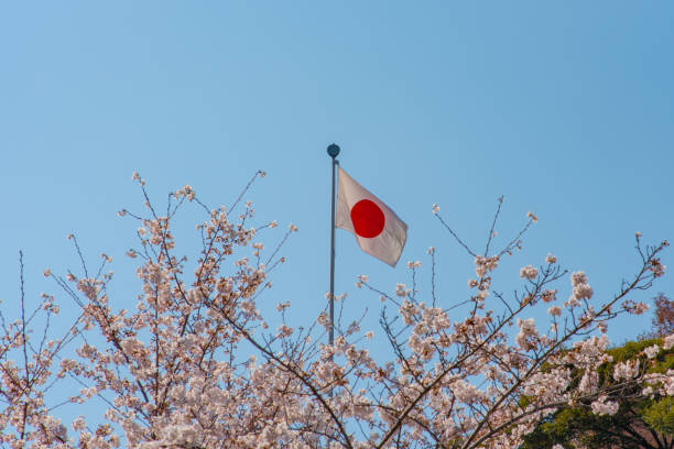 istock Flag of Japan 1128574375