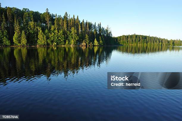 Reflektionen Auf Einer Abgelegenen See Stockfoto und mehr Bilder von Minnesota - Minnesota, See, Naturwald