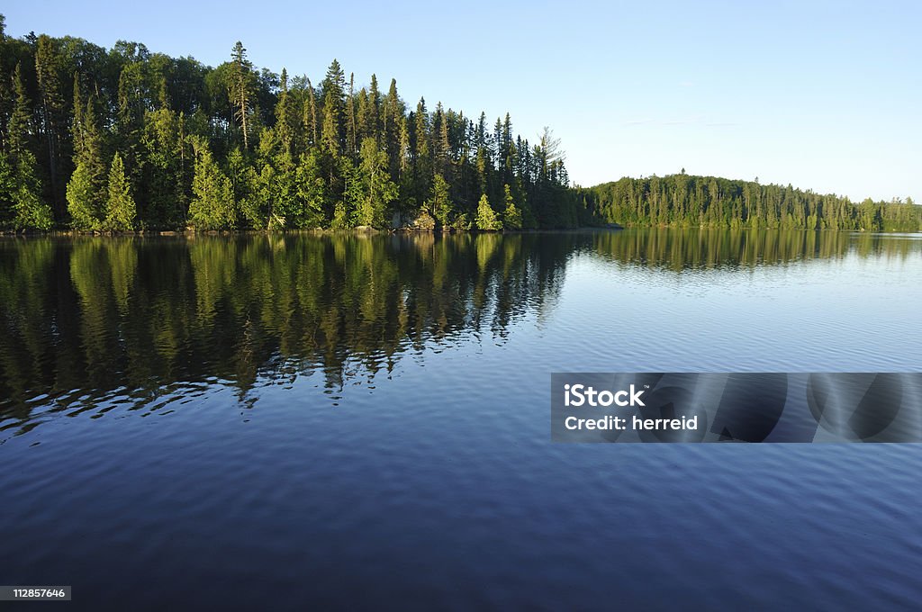 Odbicia na Wilderness Lake - Zbiór zdjęć royalty-free (Stan Minnesota)