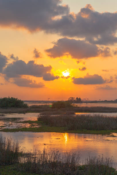 istock sunset over Talay Noi lake in Phatthalung Thailand 1128580931