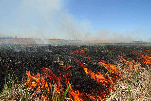 fuoco nella prateria - nebraska midwest usa farm prairie foto e immagini stock