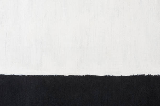istock Acrylic Painting black and white 1128582676