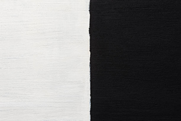 istock Acrylic Painting half white and black 1128582684