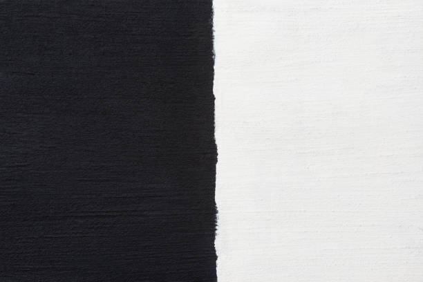 istock Acrylic Painting half black and white 1128582689