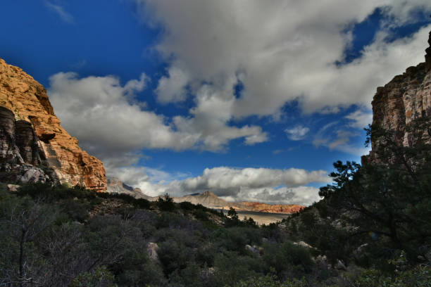 istock Calico Basin, Nevada - 2019_01.06: A cold and cloudy day at Red Rock Canyon 1128589356