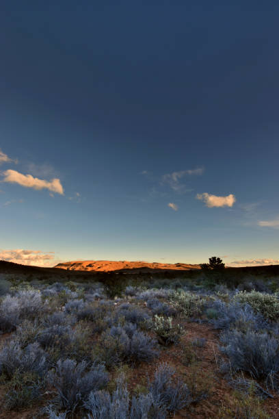 istock Calico Basin, Nevada - 2019_01.06: A cold and cloudy day at Red Rock Canyon 1128589505