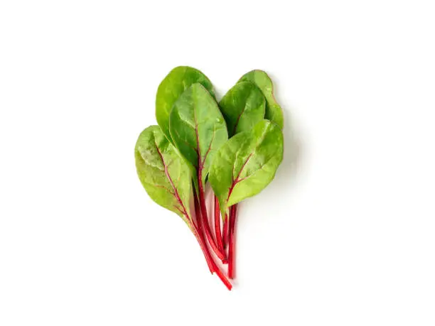 Bunch of fresh green chard leaves or mangold salad leaves on white background. Flat lay or top view fresh baby beet leaves, isolated on white background with clipping path.