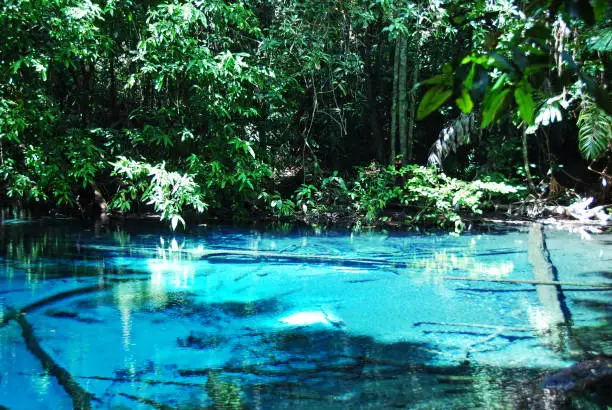 Photo of Close-up Emerald well water pond in the forest at Thailand.