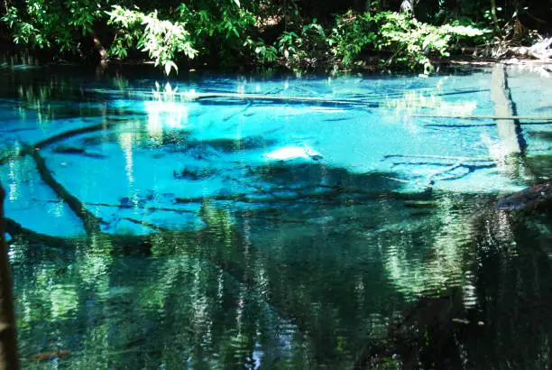 Photo of Close-up Emerald well water pond in the forest at Thailand.