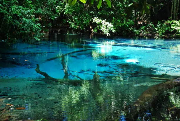 Photo of Close-up Emerald well water pond in the forest at Thailand.