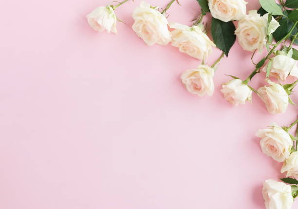 istock Flowers composition background. beautiful pale pink roses on pale pink    background.Top view.Copy space 1128602701