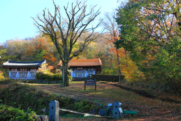 istock GWANEUMSA, autumn, autumn leaves, 1128604583